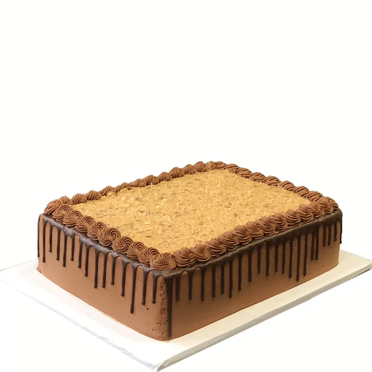 Rectangular chocolate drip cake with crumb topping