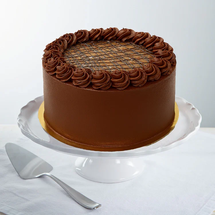 Round chocolate cake with piped rosettes
